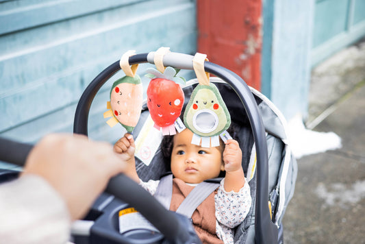 Baby Fruit Stroller Toy Set