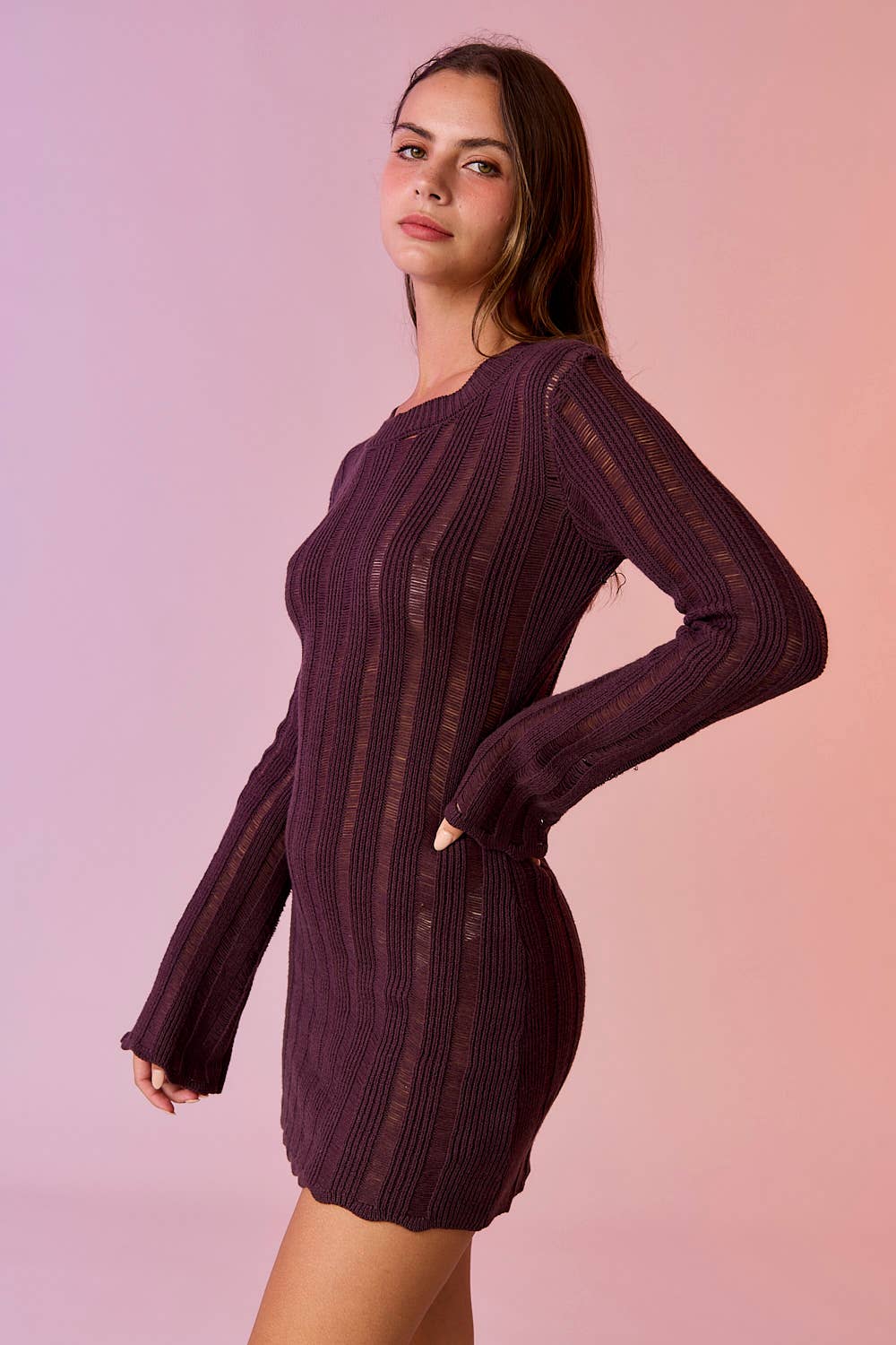 Sadie Ladder Knit Mini Cocoa Dress