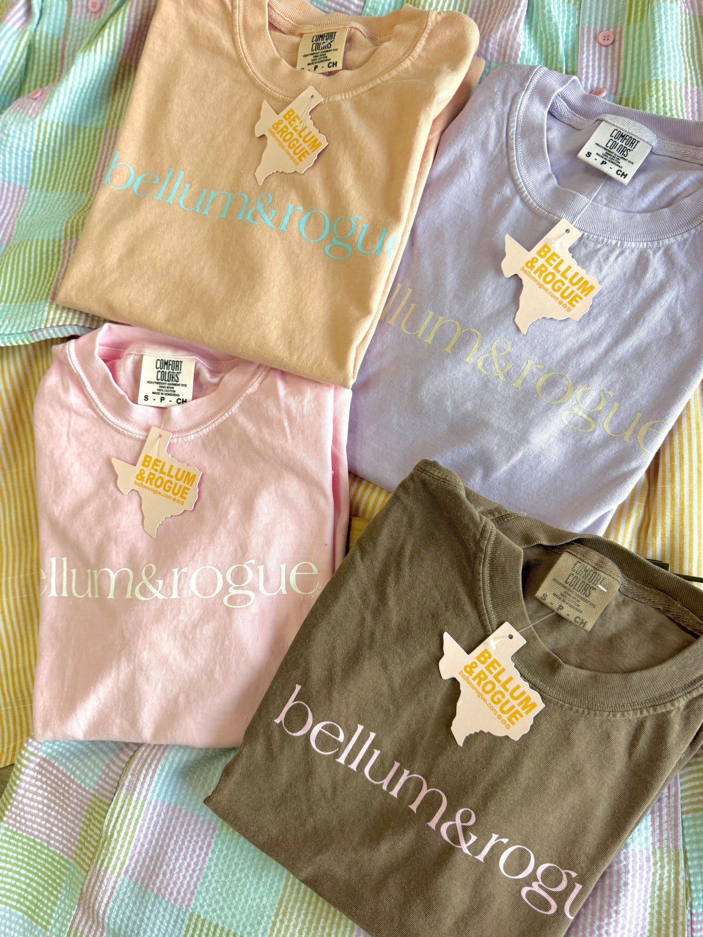 Adult Simple Logo Tee Spring