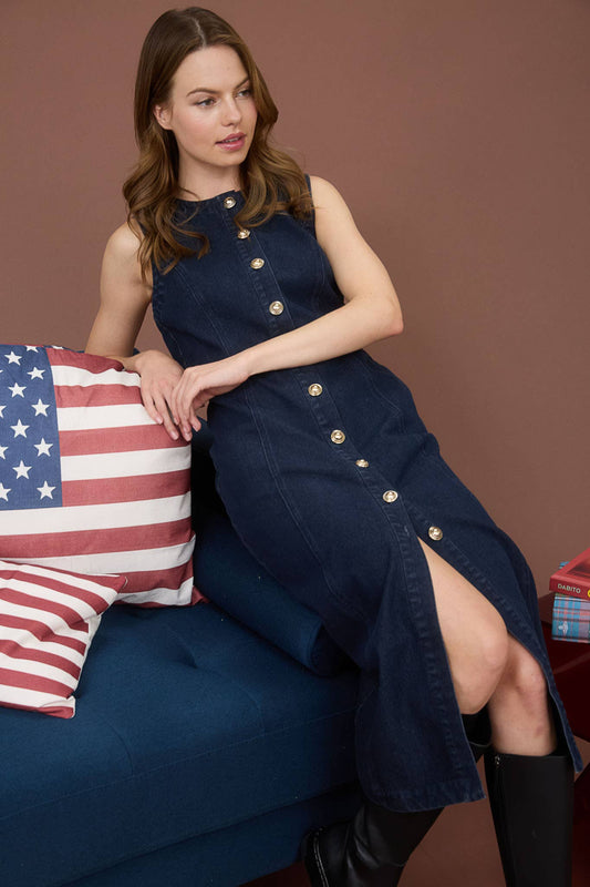Romilly Denim Buttondown Dress
