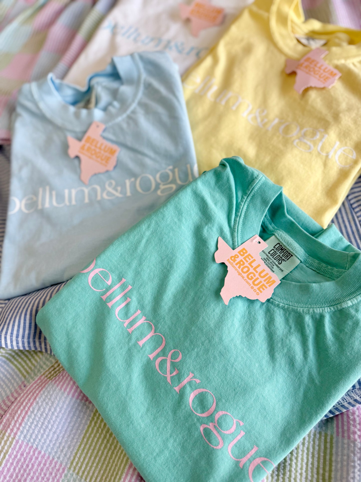 Adult Simple Logo Tee Spring