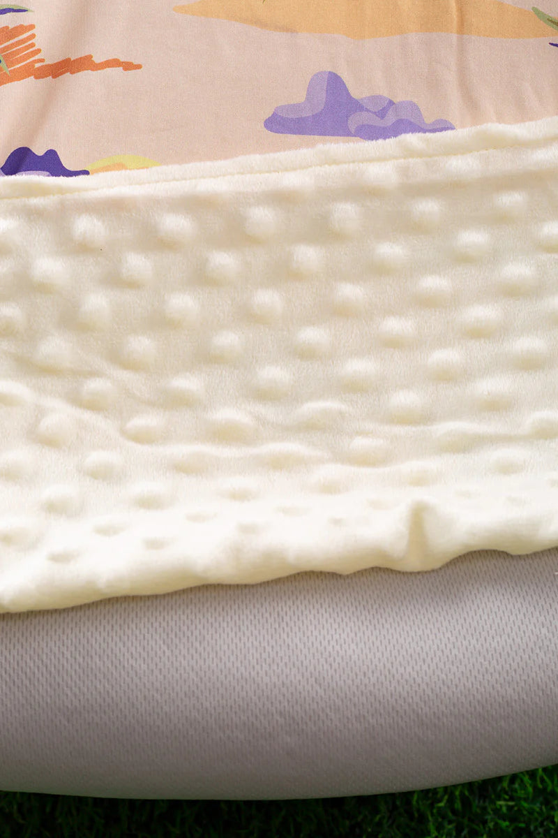 Baby Boy Western Minky Blanket