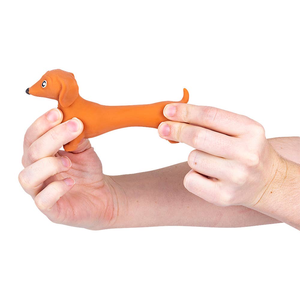 Squishy Stretch Dachshund