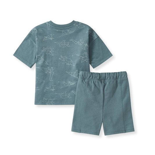 Baby Boys Burt's Bees Origami Dino Short Set