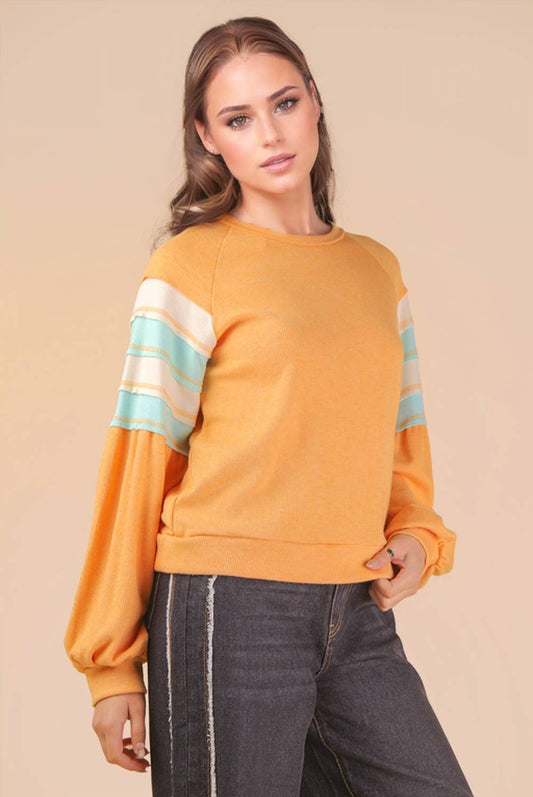 Rainey Color Block Longsleeve Top