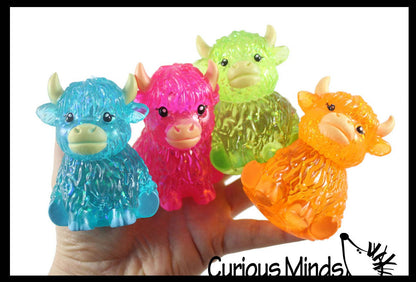 Sugar Highland Cow