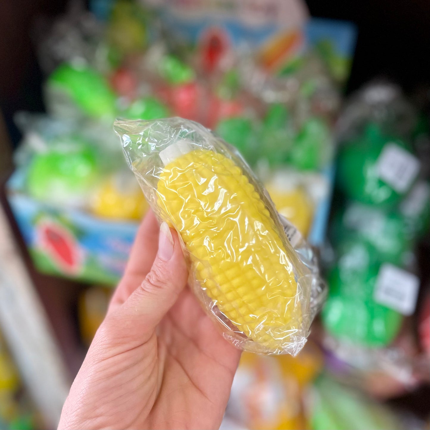 Squishy Vegetable Farm Toy