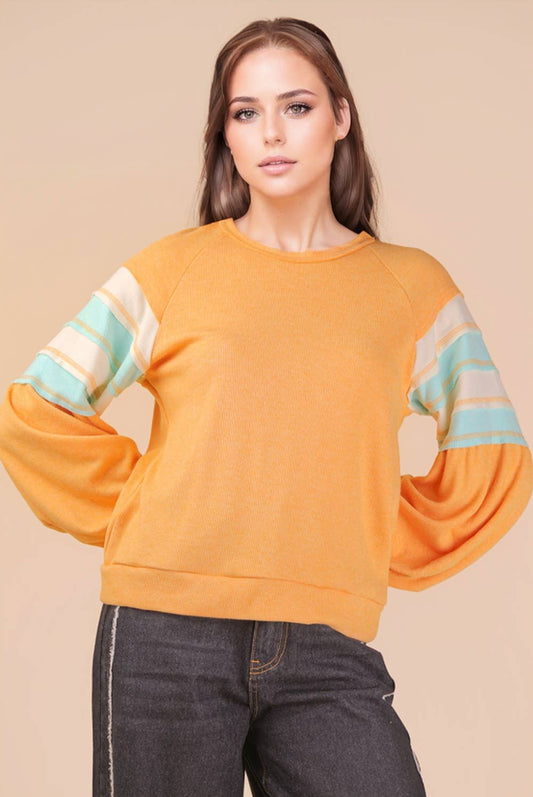 Rainey Color Block Longsleeve Top