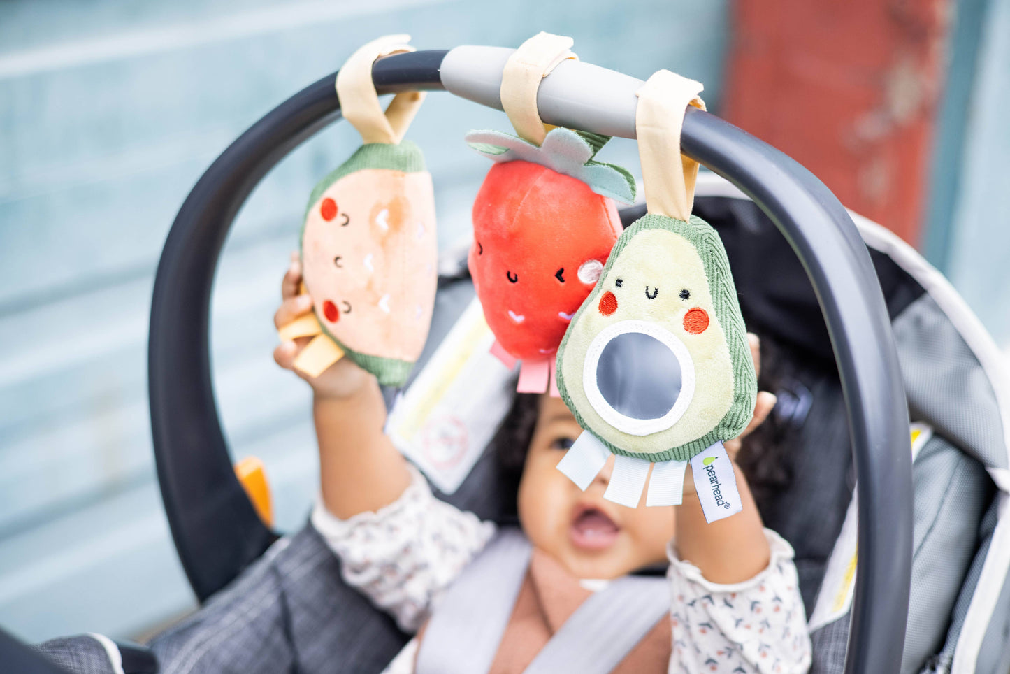 Baby Fruit Stroller Toy Set