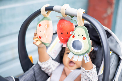 Baby Fruit Stroller Toy Set