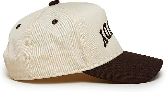 Boys Rowdy Upside Down Embroidered Brown Hat
