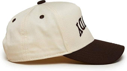 Boys Rowdy Upside Down Embroidered Brown Hat
