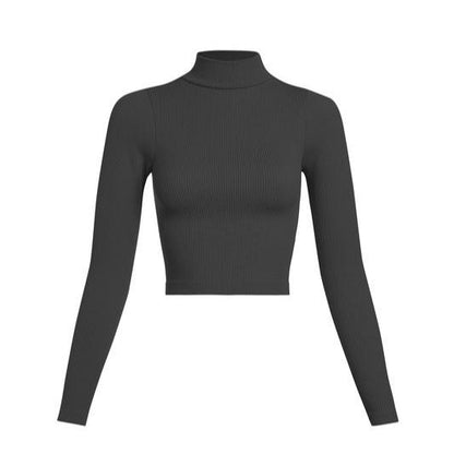 Central Ribbed Mock Neck Long Sleeve Crop