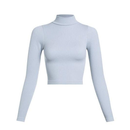 Central Ribbed Mock Neck Long Sleeve Crop