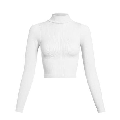 Central Ribbed Mock Neck Long Sleeve Crop