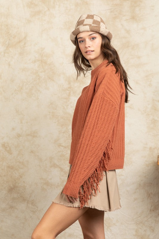 Dreamweaver Chenille Fringe Sweater