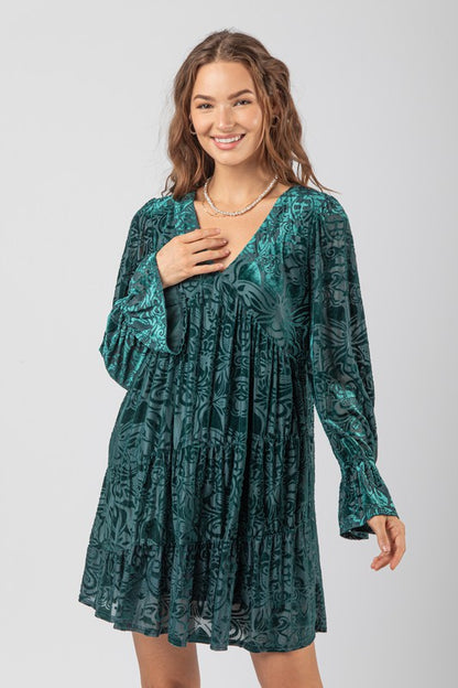 Stardust Burnout Velvet Dress