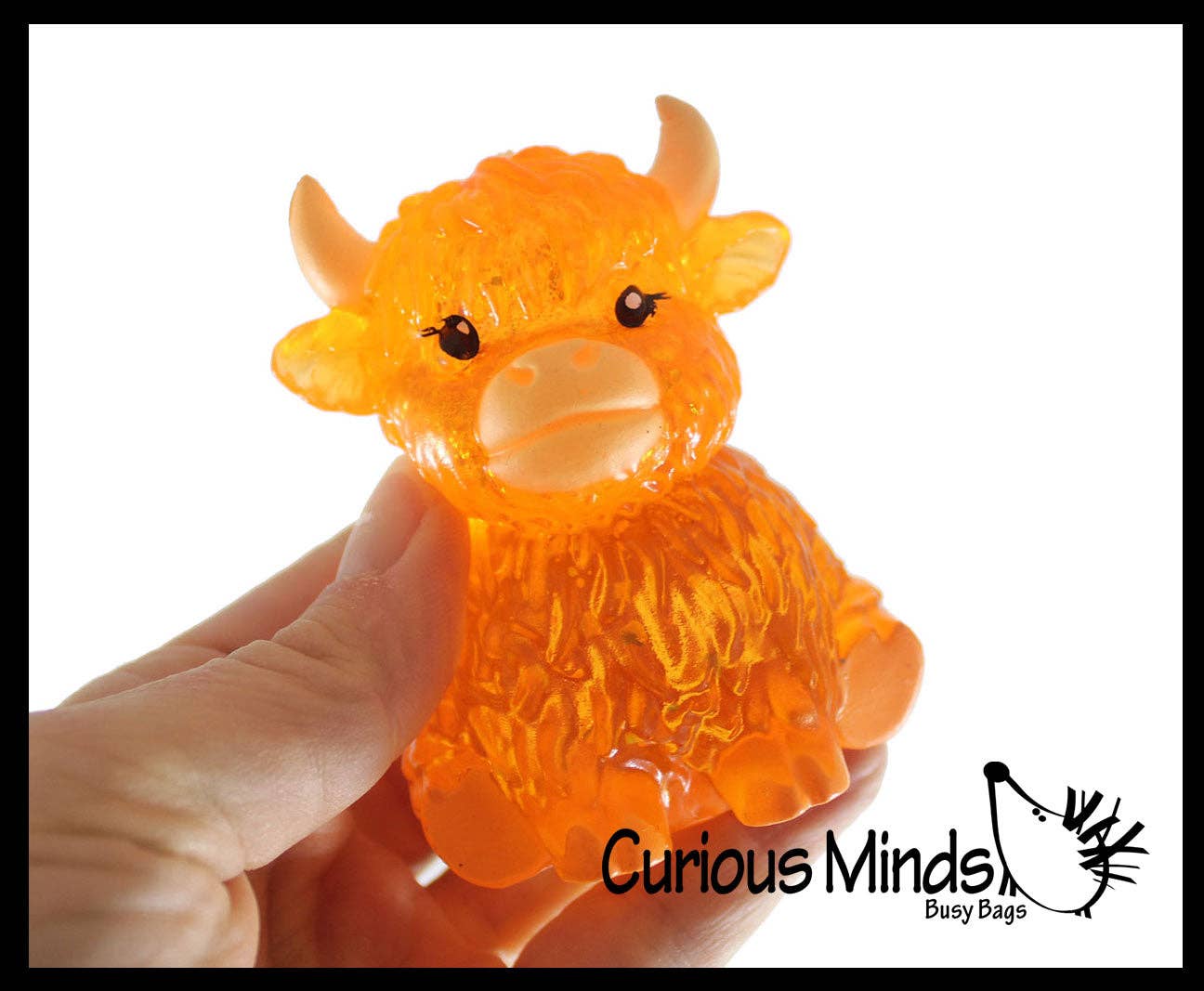 Sugar Highland Cow