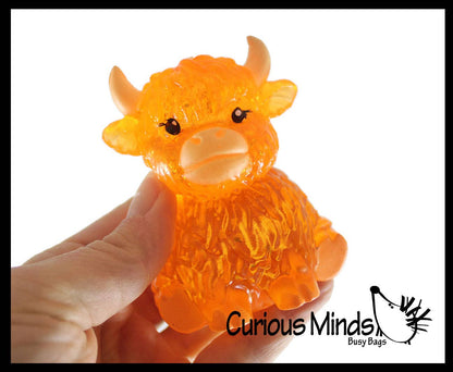 Sugar Highland Cow