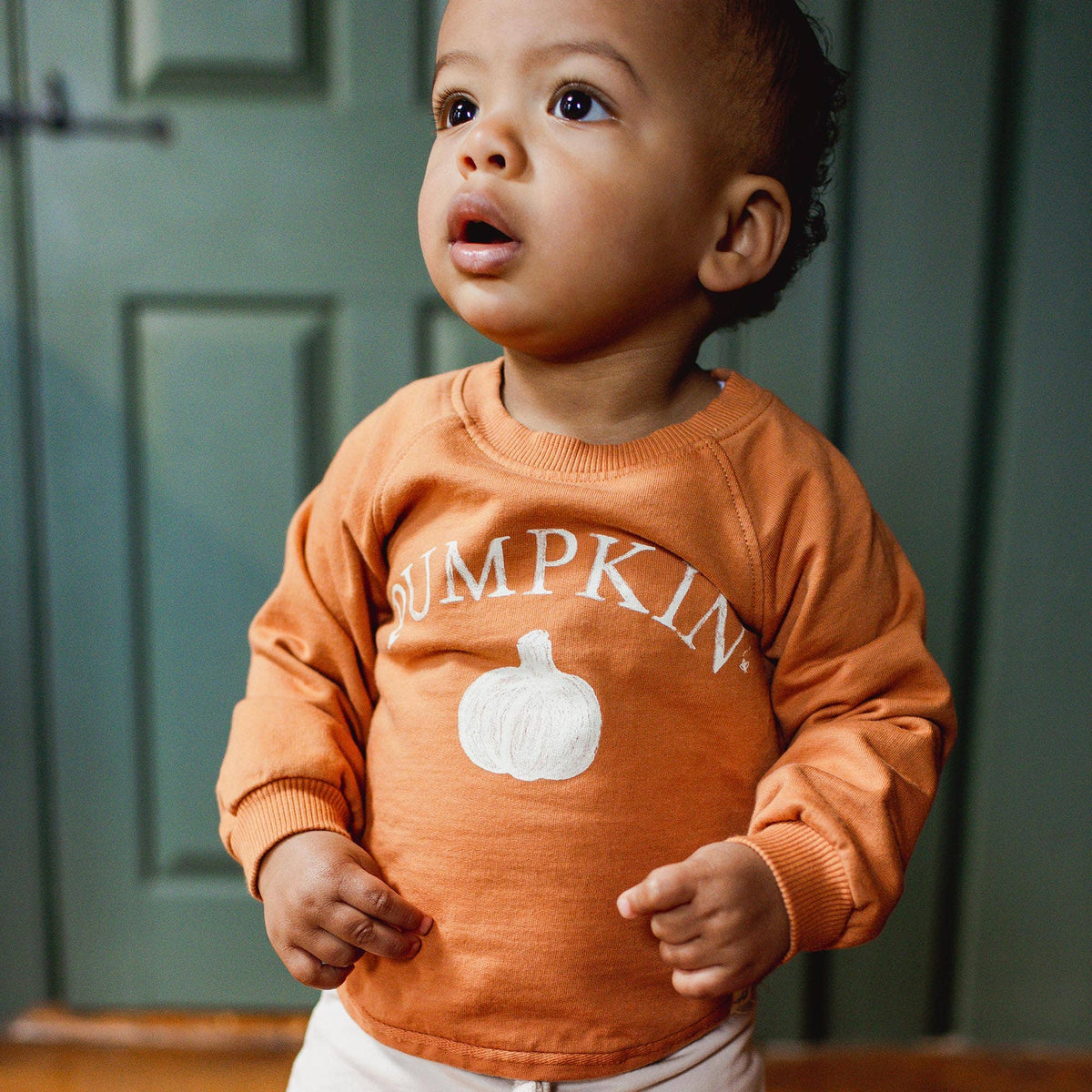 Baby Boys Burt's Bees Pumpkin' Sweatshirt