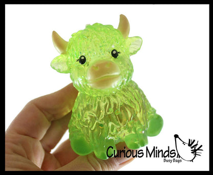 Sugar Highland Cow