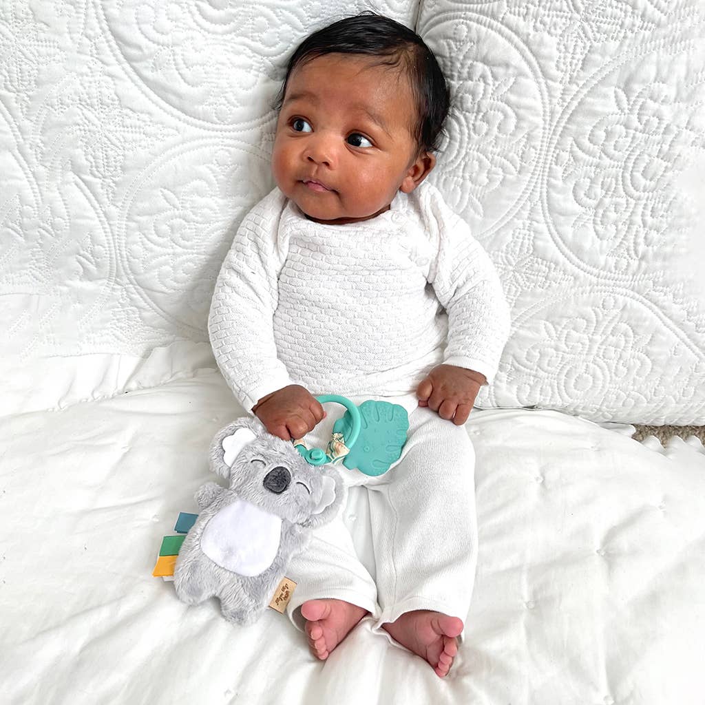 Itzy Ritzy Pal™ Plush + Teether