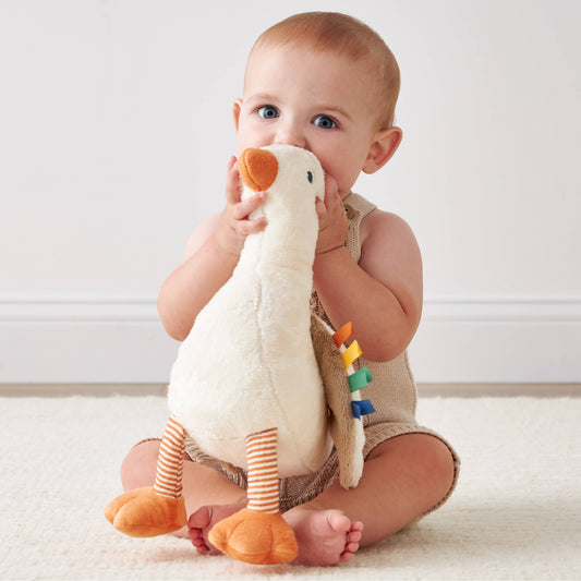 Itzy Ritzy Sweetie Snuggles™ Plush: Goose