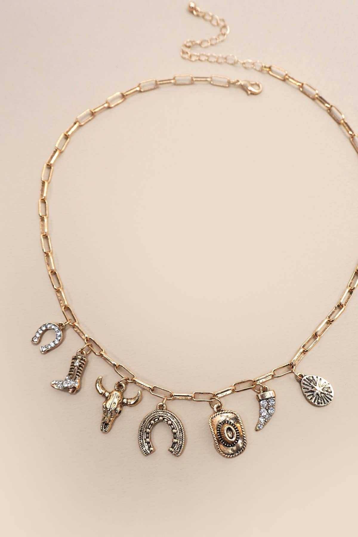 Emerson Horseshoe Charm Necklace