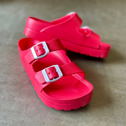 Buddy Platform Slides