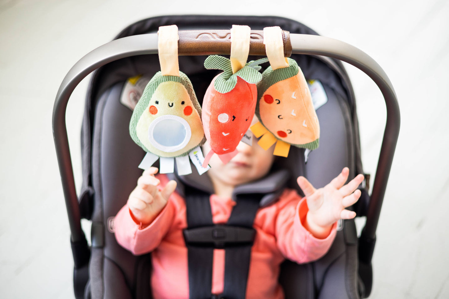 Baby Fruit Stroller Toy Set