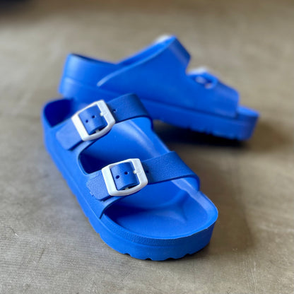 Buddy Platform Slides