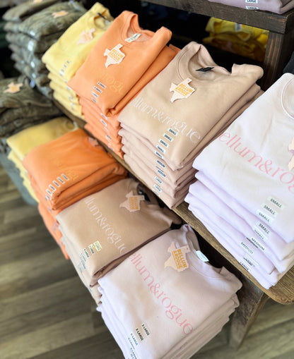 Adult Spring Simple Logo Sweatshirt