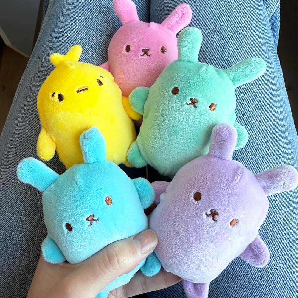 Bubble Stuffed Squishy Spring Friends