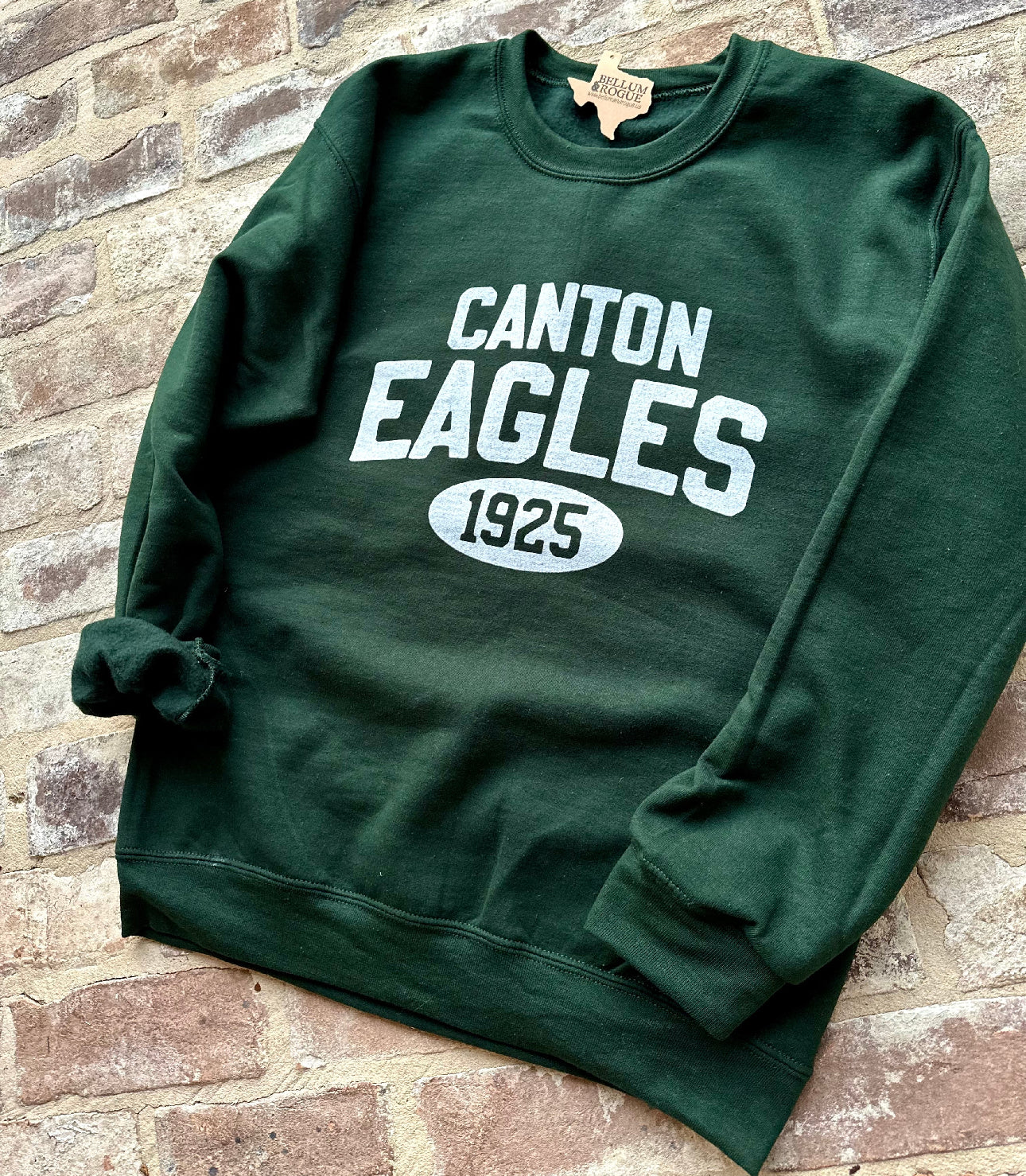 **PREORDER** Custom Varsity Mascot Hoodie
