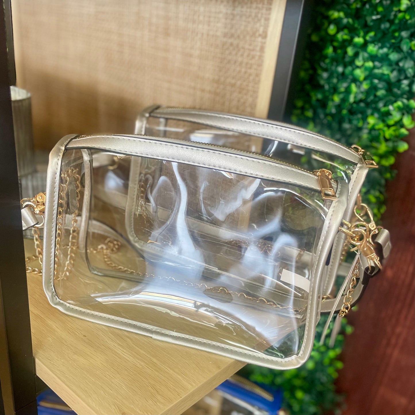 Clear Rectangle Silver Crossbody Bag