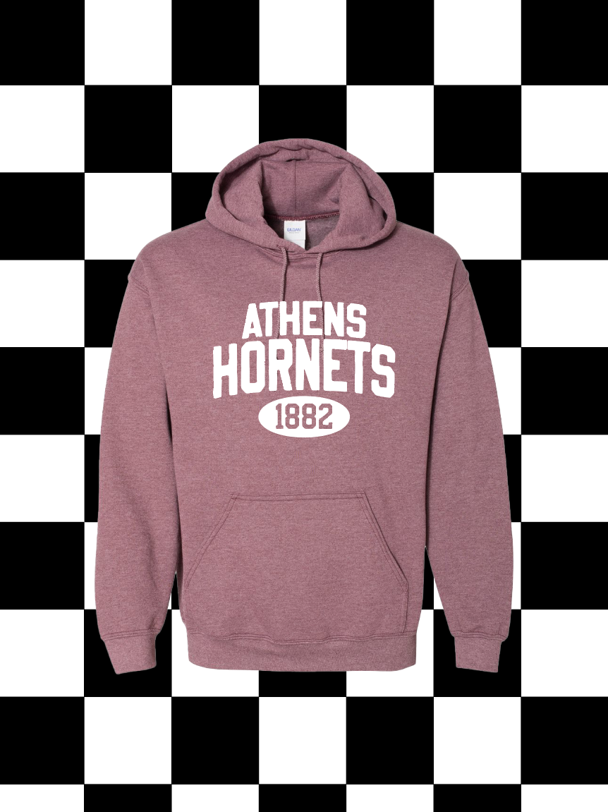 **PREORDER** Custom Varsity Mascot Hoodie