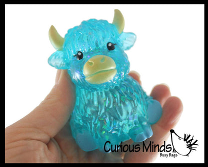 Sugar Highland Cow