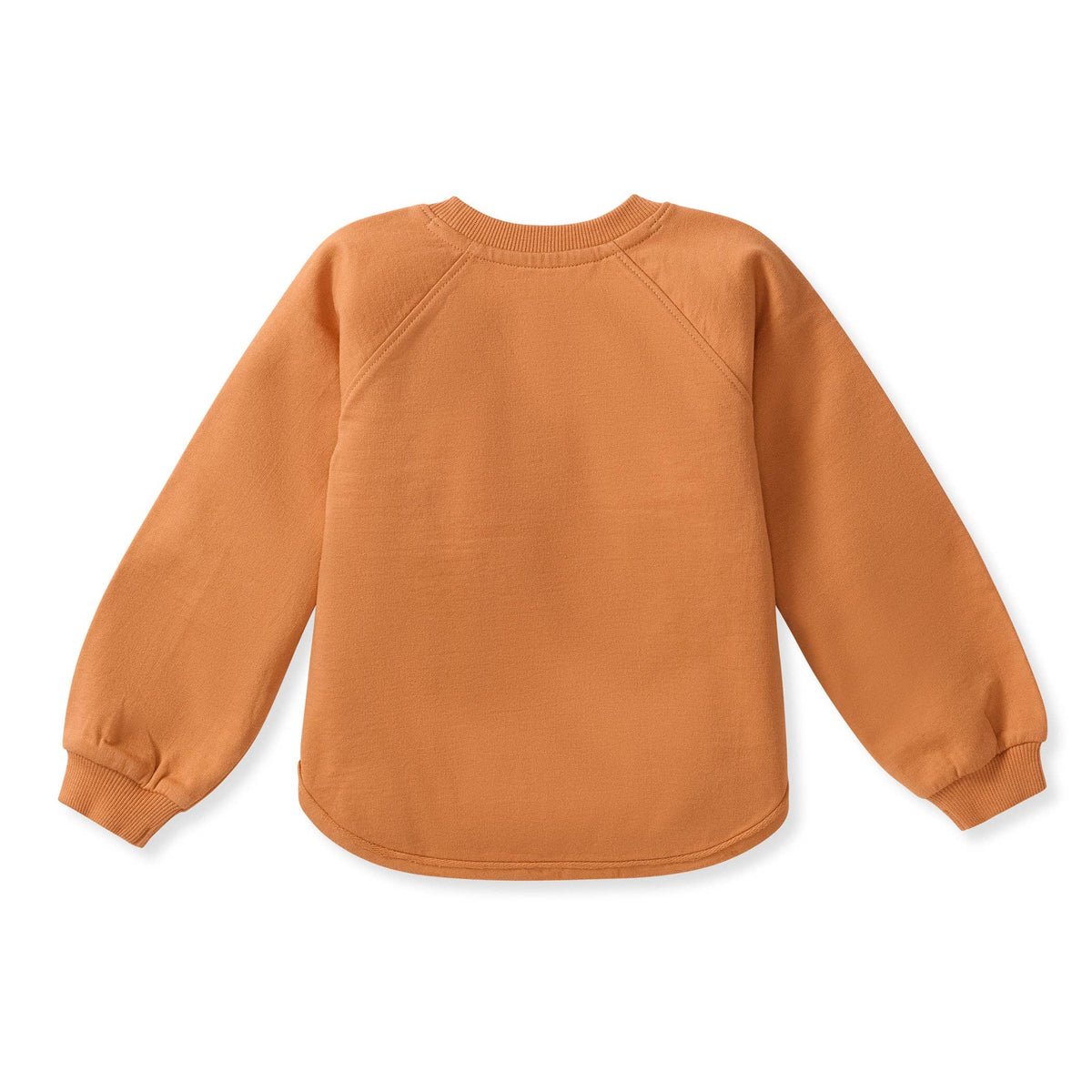 Baby Boys Burt's Bees Pumpkin' Sweatshirt