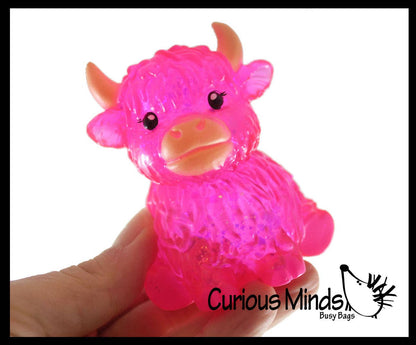 Sugar Highland Cow