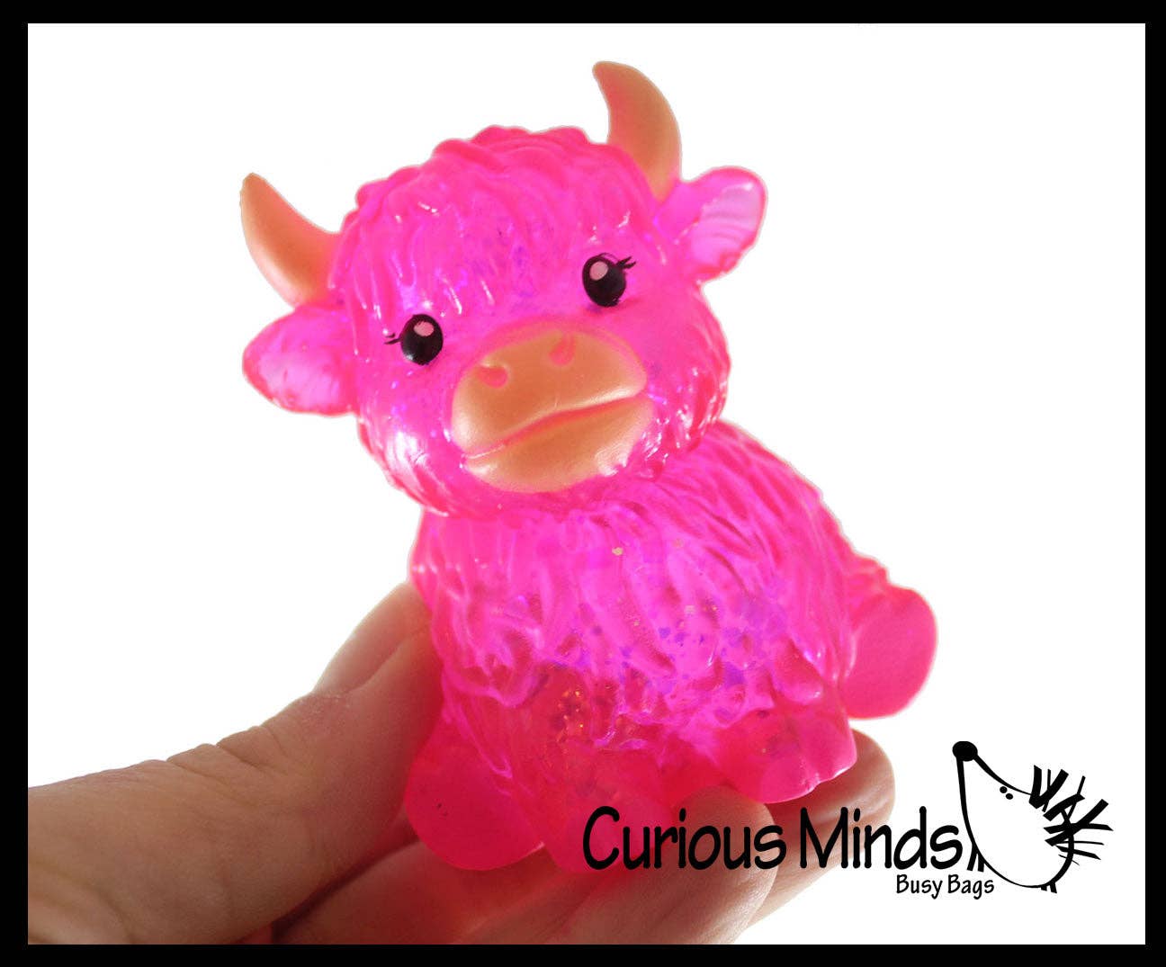Sugar Highland Cow
