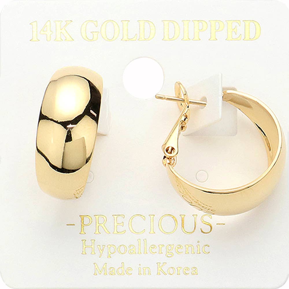 Virginia Basic Hoop Earrings