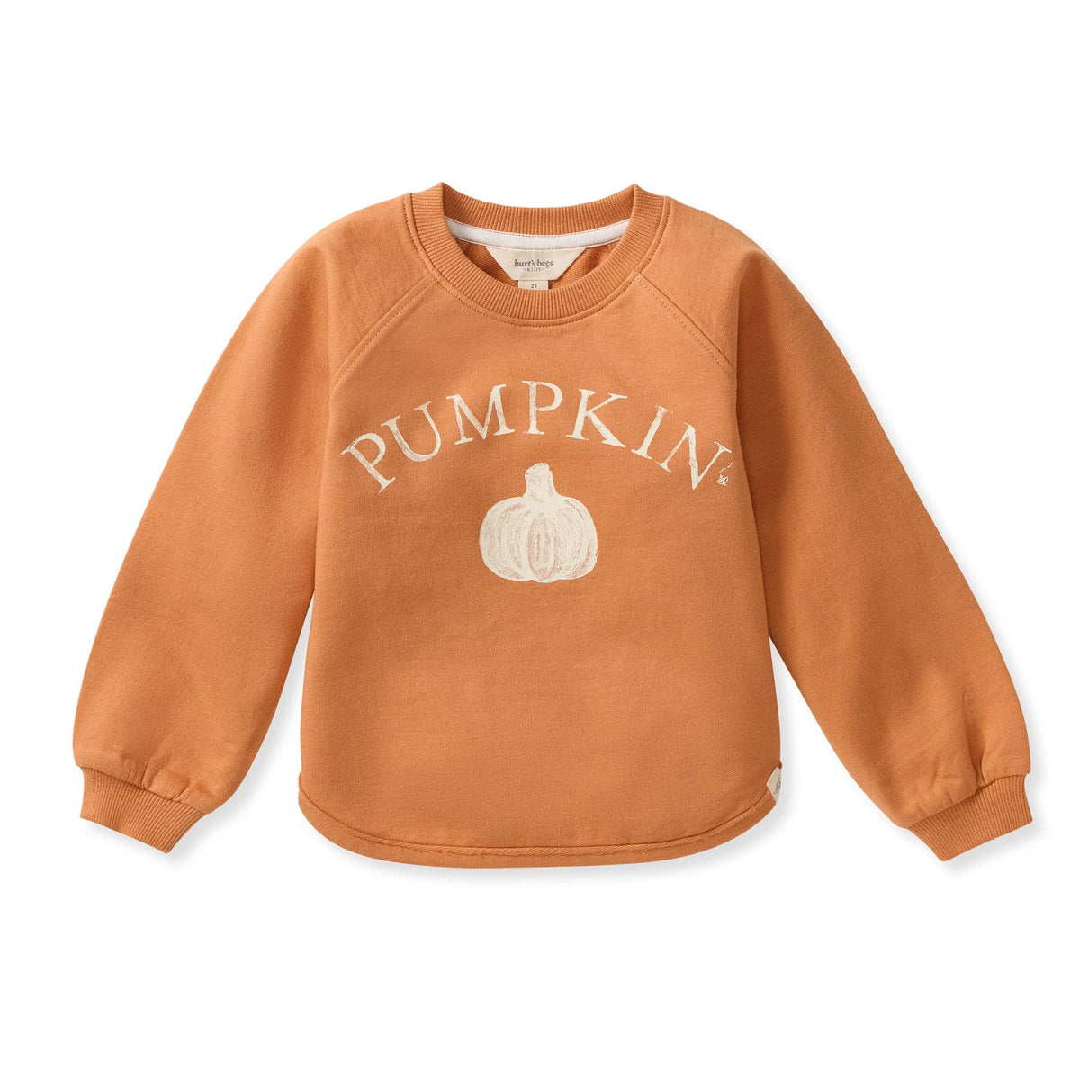 Baby Boys Burt's Bees Pumpkin' Sweatshirt
