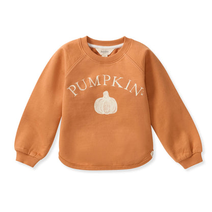 Baby Boys Burt's Bees Pumpkin' Sweatshirt