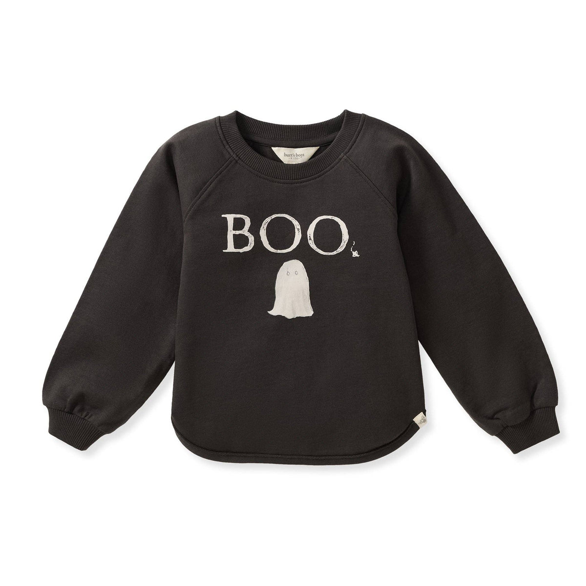Baby & Toddler Boys Burt's Bees Boo Sweatshirt