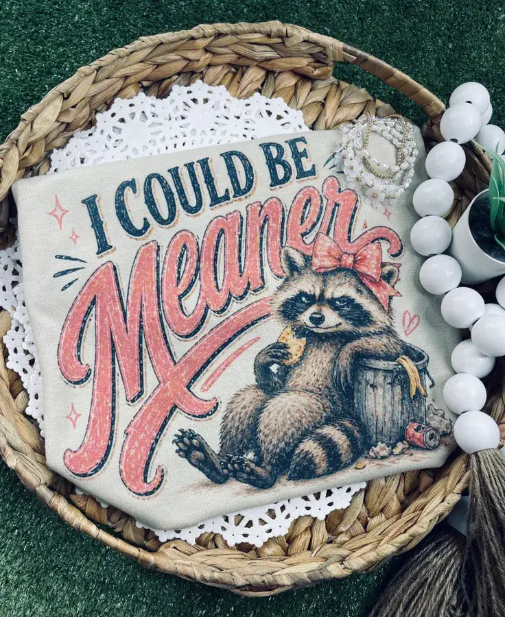I Could Be Meaner Raccoon Tee