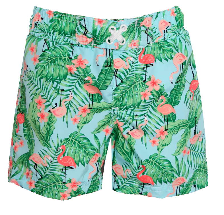 Toddler Boys Flamingo Swim Trunks