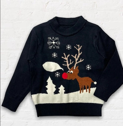 Kid Unisex Holiday Sweaters